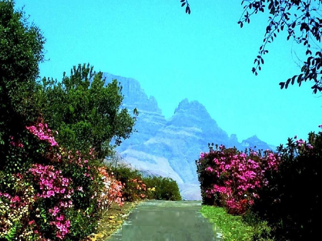 Emafweni Villa Champagne Valley Rom bilde