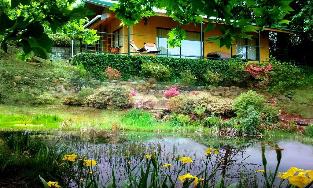 Emafweni Villa Champagne Valley Rom bilde